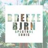 Download track Spectral Sonic (Dub Mix)