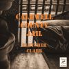 Download track Caldwell County Jail