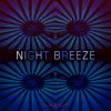 Download track Night Breeze (Original Version)