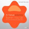 Download track Burnin' You Up (T's Classic House Retro Dub Zone)