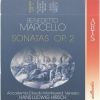 Download track 04. Sonata In Si Bemolle Maggiore Per Flauto Dolce E Clavicembalo: Largo Allegro...