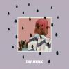 Download track Say Hello