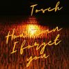 Download track How Can I Forget You