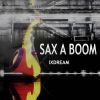 Download track Sax-A-Boom (RadioEdit)