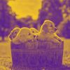 Download track Casual Ambience For Calming Puppies