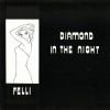 Download track Diamond In The Night