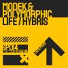 Download track Life (Polymorphic Remix)