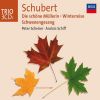Download track Winterreise, D. 911: Nr. 14. Der Greise Kopf