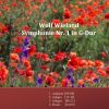 Download track Symphonie Nr. 1 In G - Dur - 3. Allegro