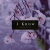 Download track I Know