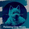 Download track Uplifting Mans Best Friend