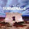 Download track Surmenage