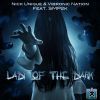 Download track Lady Of The Dark (Instrumental Edit)