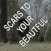 Download track Scars To Your Beautiful - Tribute To Alessia Cara (Instrumental Version)