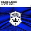 Download track Desert Roads (Original Mix)