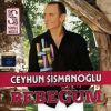 Download track Ben Neyidim