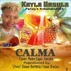 Download track Calma