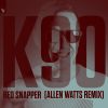 Download track Red Snapper (Extended Mix)