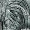 Download track Elephant (Original Mix)