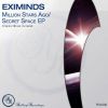 Download track Secret Space (Original Mix)