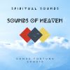 Download track Sounds Of Heaven