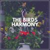 Download track Peaceful Birds