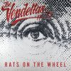 Download track Rats On The Wheel