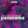 Download track Panorama (Hammond Groove Mix)