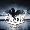 Download track Pegaso