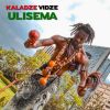 Download track Ulisema (Instrumental)