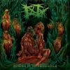 Download track Extinction Through Fornication