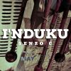 Download track I'nduku