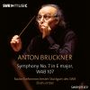 Download track Symphony No. 7 In E Major, WAB 107 (1885 Version, Ed. L. Nowak): II. Adagio. Sehr Feierlich Und Sehr Langsam