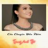 Download track Chút Kỷ Niệm Buồn