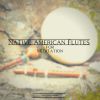 Download track Native American Flutes For Meditation