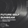 Download track Sunbeam (Mentat Breaks Remix)