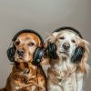 Download track Joyful Canine Harmonies