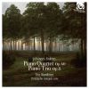Download track Piano Trio No. 1 In B Major, Op. 8: IV. Allegro Molto Agitato