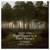 Download track Piano Trio No. 1 In B Major, Op. 8: I. Allegro Con Moto