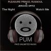 Download track The Night (Pleasure Soul-Tech Mix)