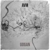 Download track Avm