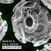 Download track Acidification (Paul Begge Remix)