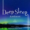 Download track Sleeping Music (Deep Sleep)