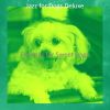 Download track Smooth Jazz Soundtrack For Dog Walking