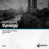Download track Synergy (Astuni & Manuel Le Saux Re-Lift)