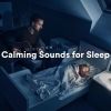 Download track Relaxing Zen