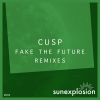 Download track Fake The Future (OBL Remix)