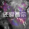 Download track 还爱着你