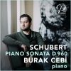 Download track Piano Sonata D. 960 In B-Flat Major III. Scherzo (Allegro Vivace Con Delicatezza - Trio)