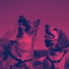 Download track Uplifting Music For Sleepy Dogs